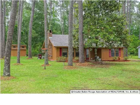 31559 River Pines Dr, Springfield, LA 70462 photo 19