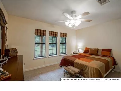 31559 River Pines Dr, Springfield, LA 70462 photo 8