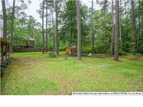 31559 River Pines Dr, Springfield, LA 70462 photo 18
