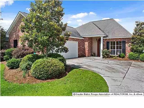 28057 Great Eagle Ave, Walker, LA 70785 photo 1