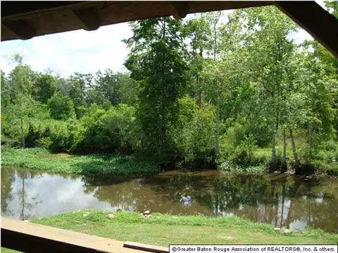 20374 Johnson Dr, Killian, LA 70462 photo 15