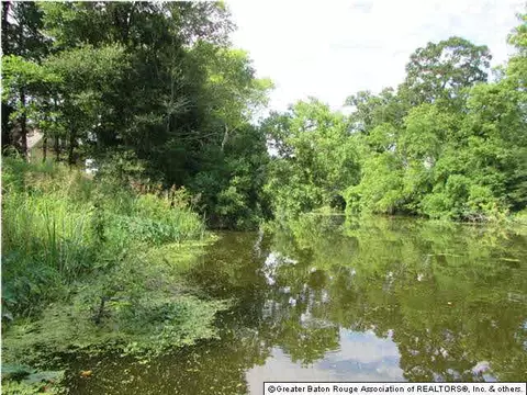 14036 Chenal Rd, Jarreau, LA 70749 photo 22
