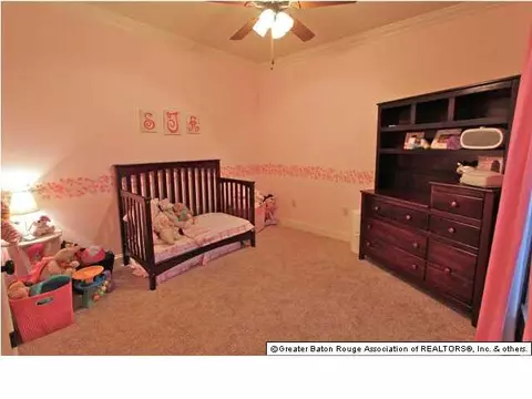 30954 Ridgeway, Walker, LA 70785 photo 20