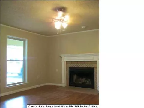 30630 Blue Bird St, Walker, LA 70785 photo 4