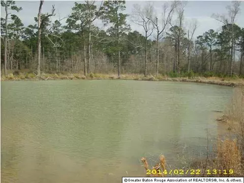 30530 Lower Rome Rd, Springfield, LA 70462 photo 16