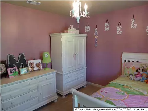 12277 Creekside Ave, Walker, LA 70785 photo 15