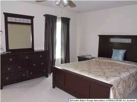 30228 Daffodil Dr, Walker, LA 70785 photo 7