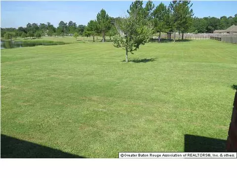 34099 Spring Lake Dr, Walker, LA 70785 photo 11