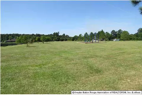 34099 Spring Lake Dr, Walker, LA 70785 photo 9
