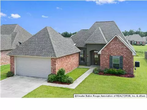 13378 Autumn Run Dr, Walker, LA 70785 photo 1