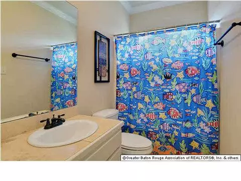 13378 Autumn Run Dr, Walker, LA 70785 photo 8