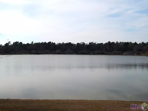 32839 Fox Run Dr, Walker, LA 70785 photo 48