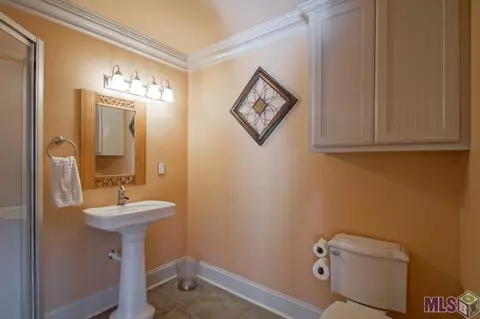 32860 Rivergate Cir, Springfield, LA 70462 photo 30