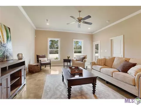 23711 Monarch Pt, Springfield, LA 70462 photo 4
