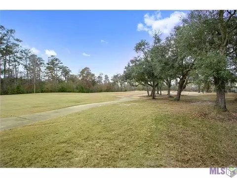 23711 Monarch Pt, Springfield, LA 70462 photo 12