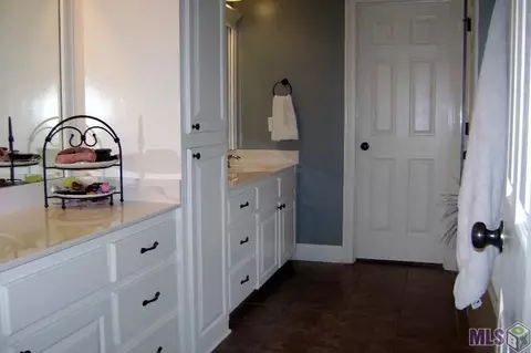 34243 Spring Lake Dr, Walker, LA 70785 photo 20