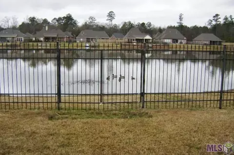 34243 Spring Lake Dr, Walker, LA 70785 photo 24
