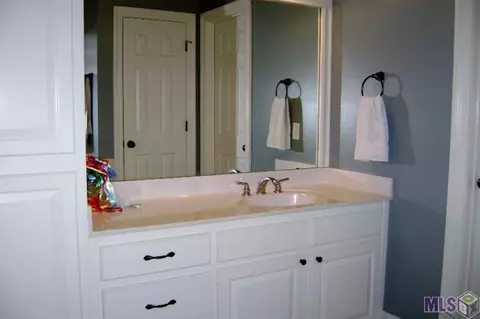 34243 Spring Lake Dr, Walker, LA 70785 photo 22