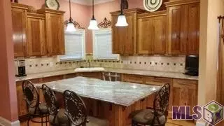 33450 Weiss Rd, Walker, LA 70785 photo 4