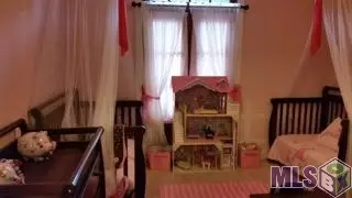 33450 Weiss Rd, Walker, LA 70785 photo 13