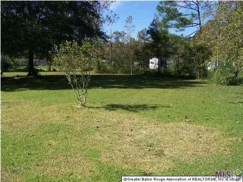 12829 Elaine Dr, Walker, LA 70785 photo 5