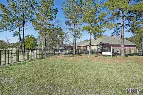 437 Beebalm Cir, Covington, LA 70435 photo 2