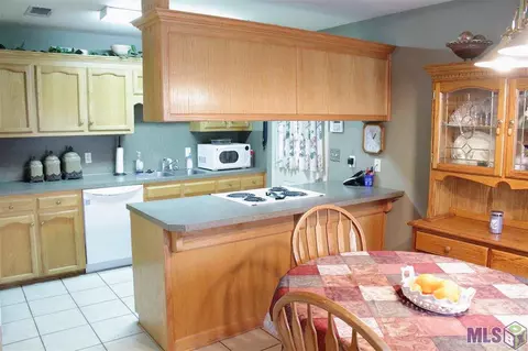 13955 J R Dr, Walker, LA 70785 photo 7