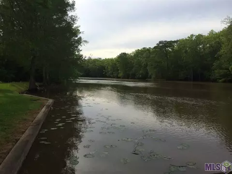 33330 Cypress Pt, Springfield, LA 70462 photo 15