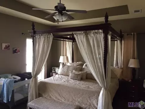 32726 Maci Dr, Walker, LA 70785 photo 9