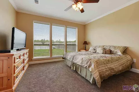 34135 Springlake Dr, Walker, LA 70785 photo 5