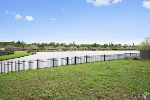34135 Springlake Dr, Walker, LA 70785 photo 9