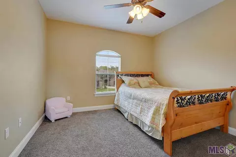 34135 Springlake Dr, Walker, LA 70785 photo 7