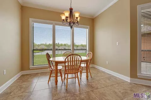 34135 Springlake Dr, Walker, LA 70785 photo 4