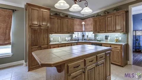 32775 Briar Oak Dr, Walker, LA 70785 photo 8