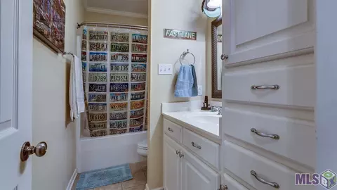 32775 Briar Oak Dr, Walker, LA 70785 photo 19