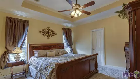 32775 Briar Oak Dr, Walker, LA 70785 photo 17