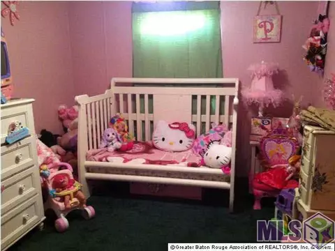 12150 Joe Bennett Rd, Walker, LA 70785 photo 6