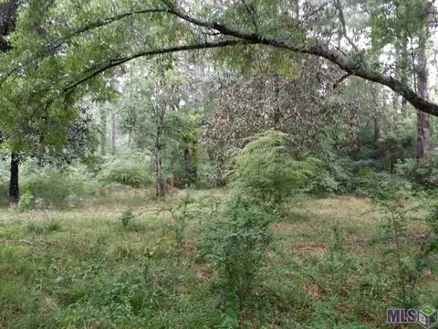 33297 Duff Rd, Walker, LA 70785 photo 3