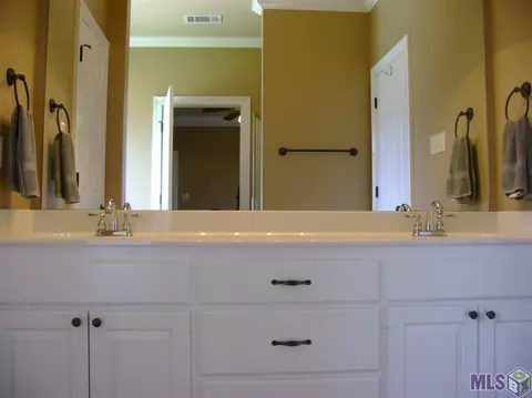15082 Coldwater Dr, Walker, LA 70785 photo 22