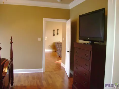15082 Coldwater Dr, Walker, LA 70785 photo 17