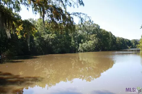 14603 Paradise Rd, Maurepas, LA 70449 photo 5