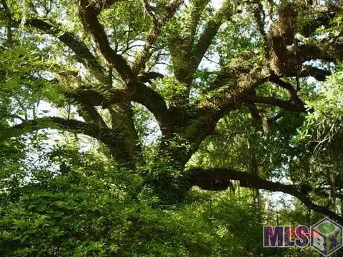 30251 Milton Rd, Walker, LA 70785 photo 11