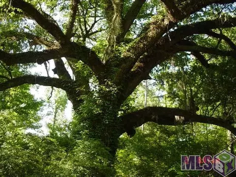 30251 Milton Rd, Walker, LA 70785 photo 12