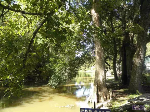 13595 Amite Ln, Maurepas, LA 70449 photo 15