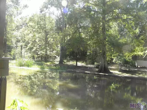 13595 Amite Ln, Maurepas, LA 70449 photo 12