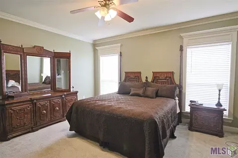34201 Spring Lake Dr, Walker, LA 70785 photo 9