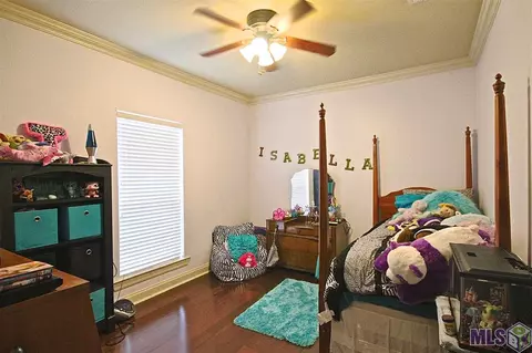 34201 Spring Lake Dr, Walker, LA 70785 photo 13