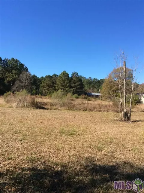 31925 Weiss Rd, Walker, LA 70785 photo 1