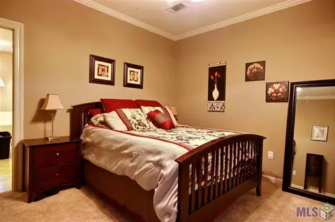 30480 Michelle St, Walker, LA 70785 photo 9
