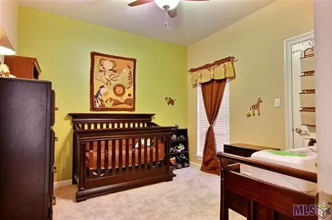 30480 Michelle St, Walker, LA 70785 photo 12